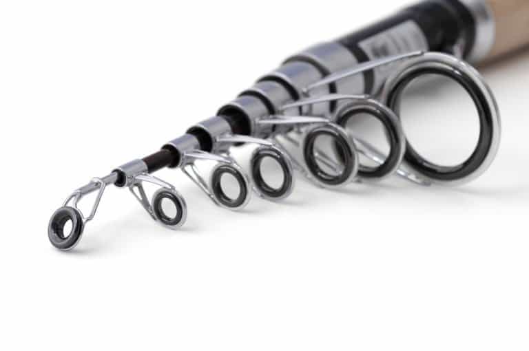 Best Telescopic Fishing Rods in 2026: Buying Guide + 5 Top Picks