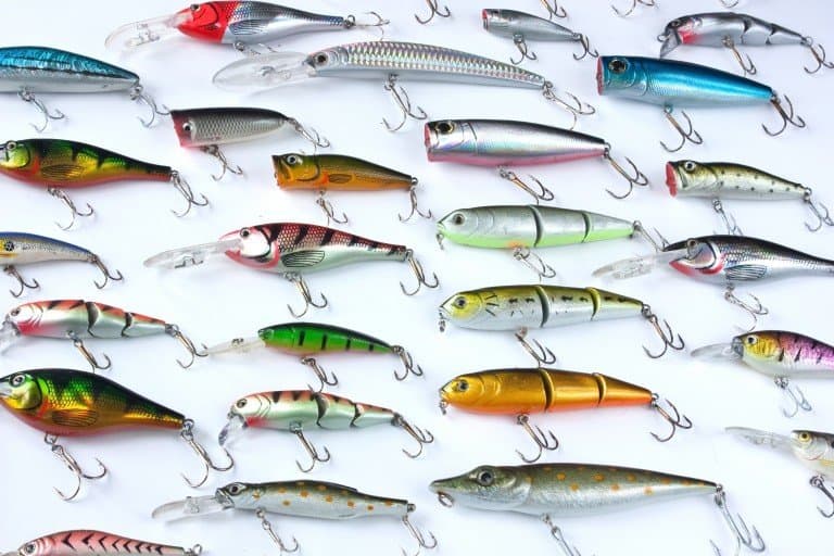 The 10 Best Fishing Lure Kits in 2024 Ultimate Guide