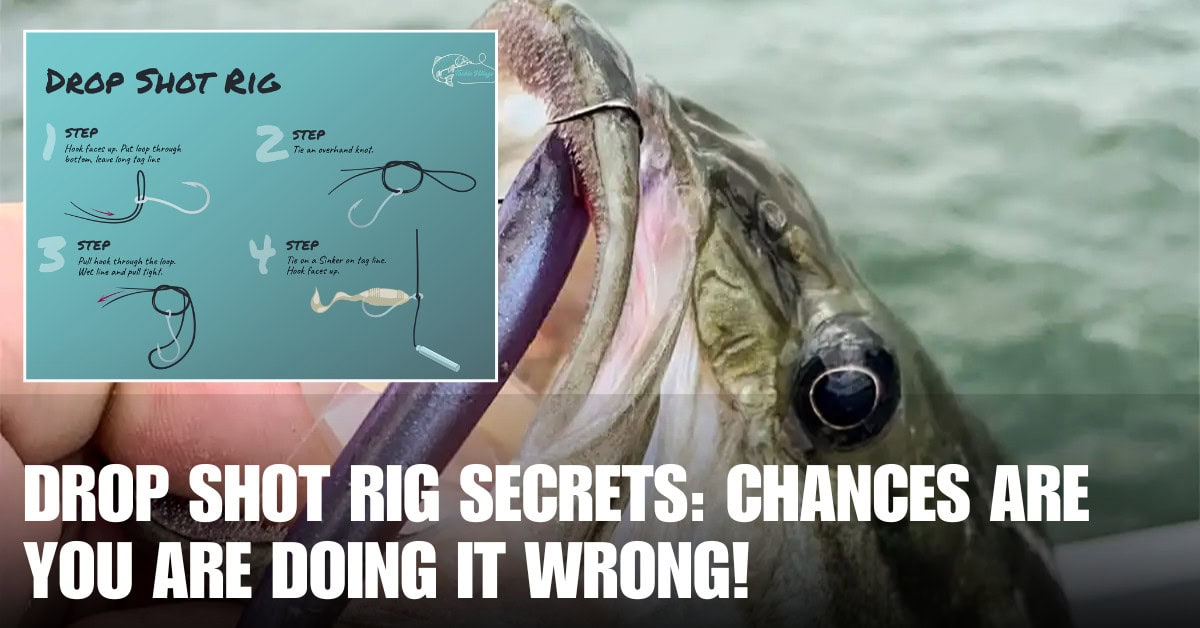 The Drop Shot Rig for Bass: Full Setup & Fishing Guide