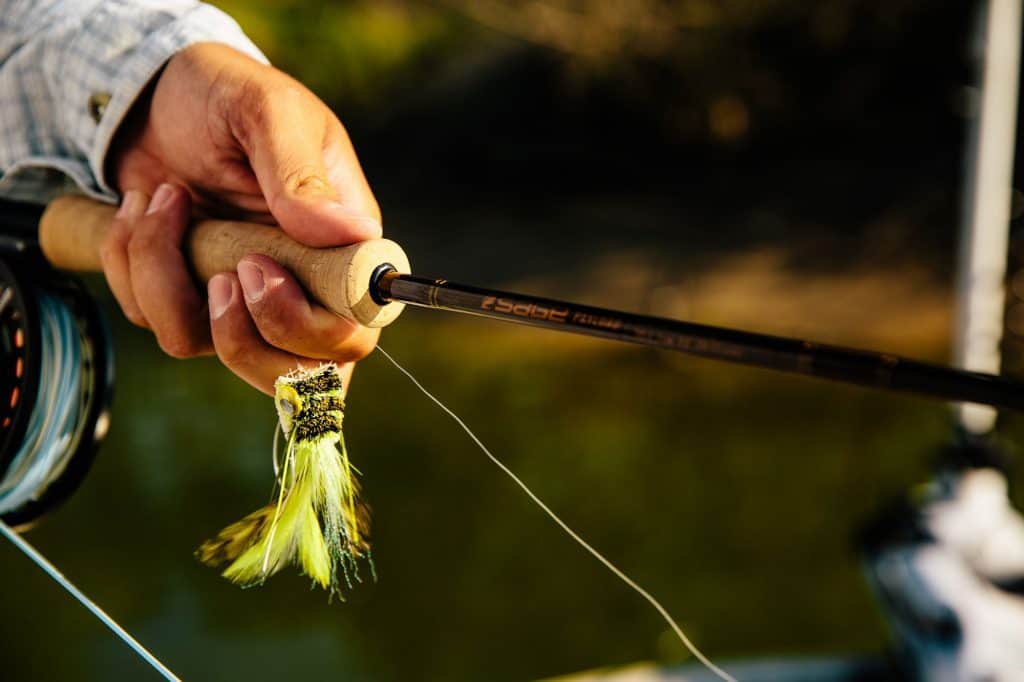Choosing a Fly Fishing Rod Weight and Action Explained