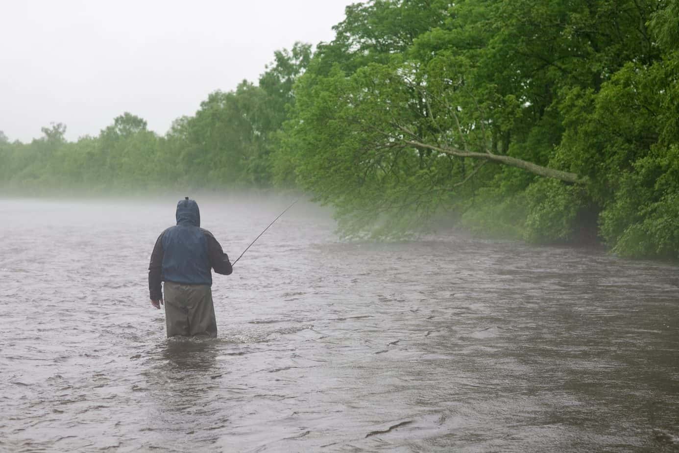 Bass Fishing After a Storm How to Stimulate a Bite (Tactics for Tough Conditions)