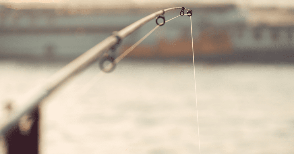 How Long Does Fishing Line Last? And How to Look After It