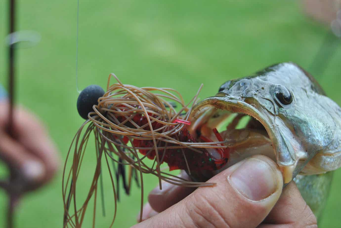 What is Jigging? A Beginner's Guide