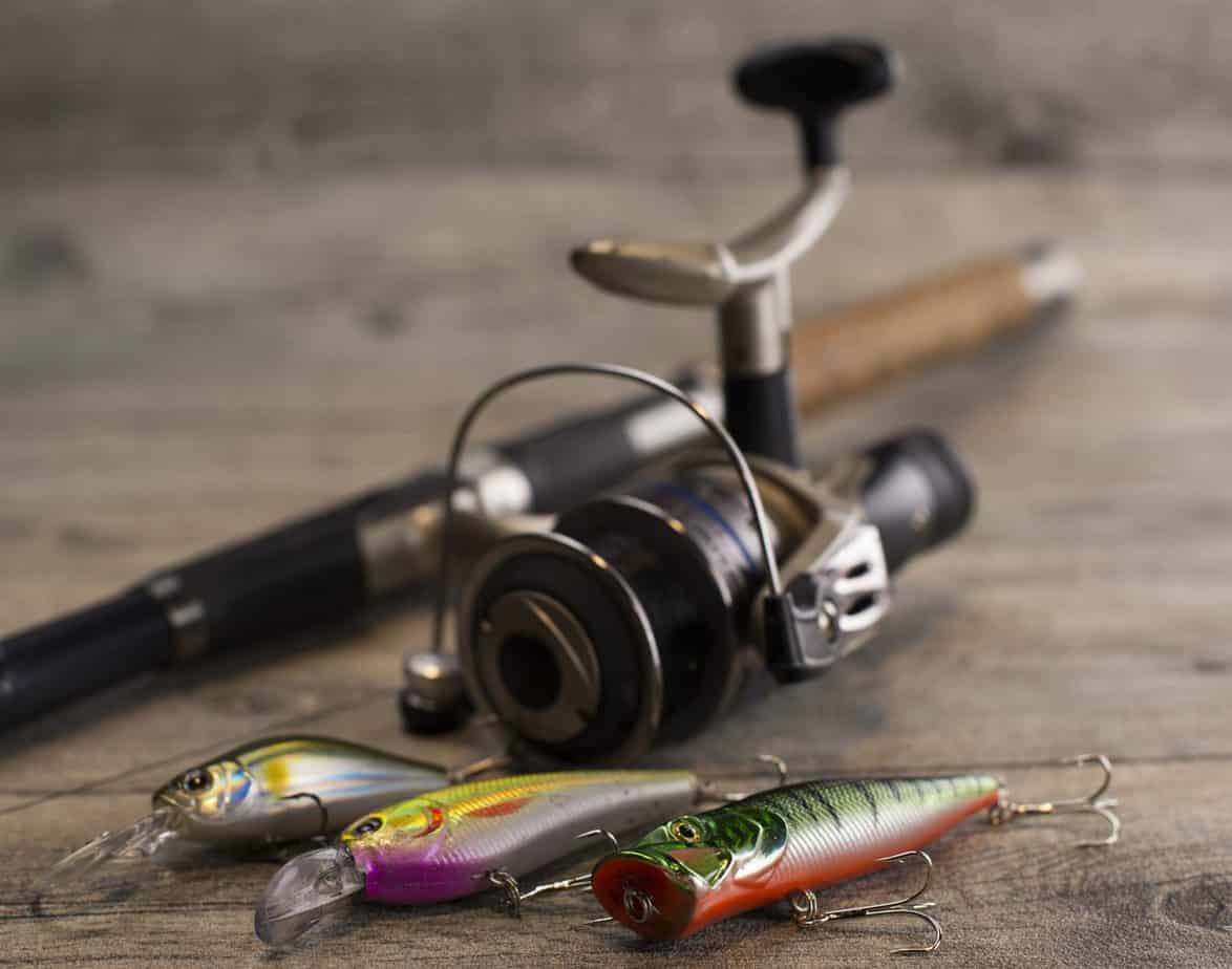 Spinning Reel Sizes Explained Choosing the Right Outfit for You