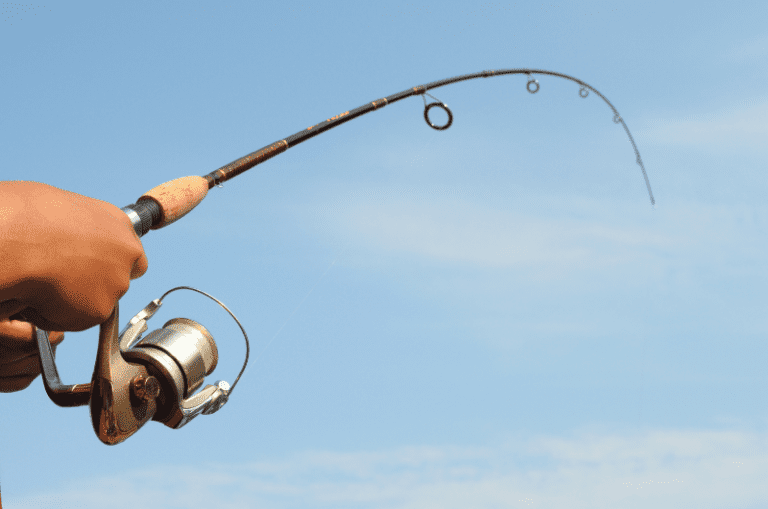 Fishing Rod Action Chart Fast, Moderate & Slow Rods