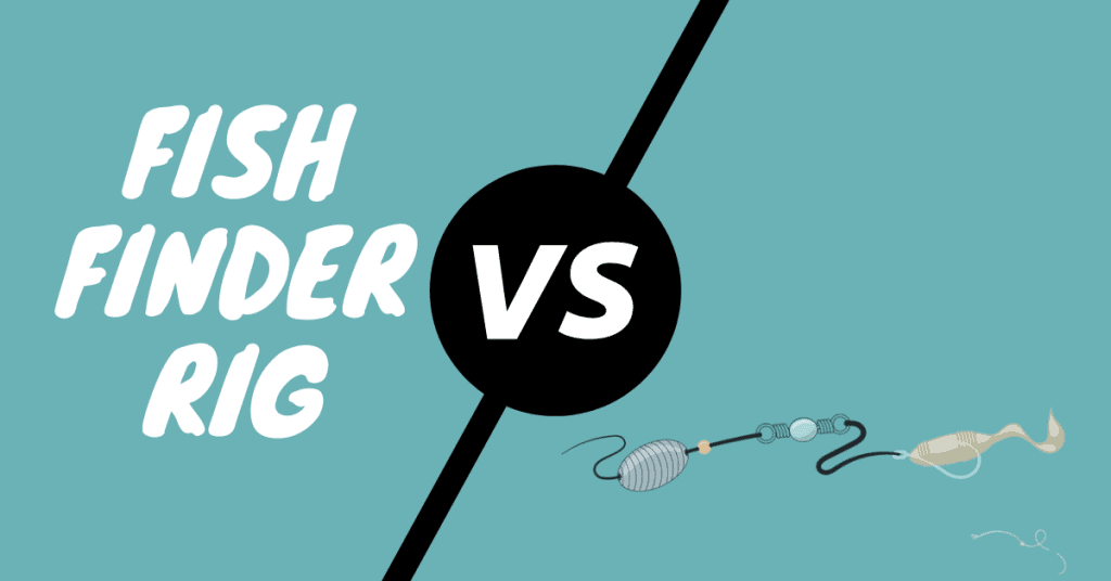 Fish Finder Rig Vs Carolina Rig