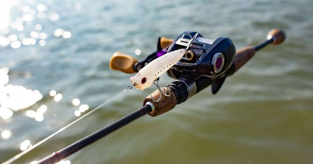 Best Topwater Rod Our Top 8 Picks Reviewed