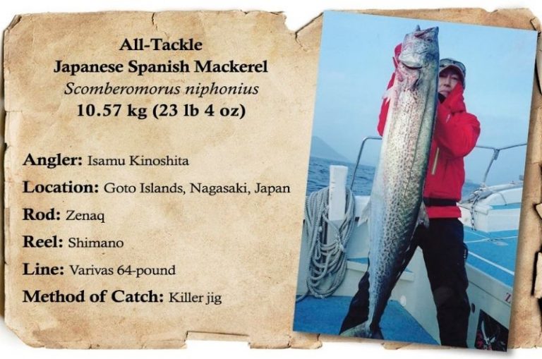 World Record Spanish Mackerel Biggest Ever Caught