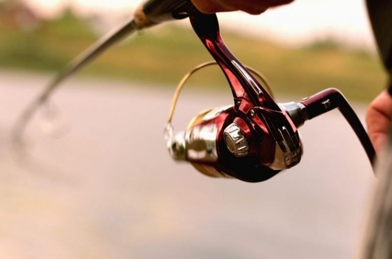 Best Crappie Rod and Reel Combo Our Top 8 Picks in 2024