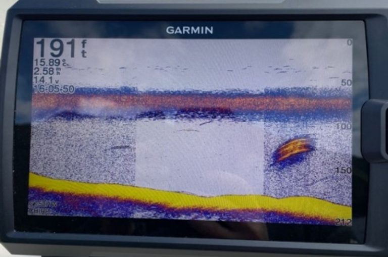 What Does A Thermocline Look Like on a Fish Finder?