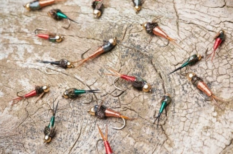 Wet Fly vs Dry Fly Key Differences & How to Decide Which?