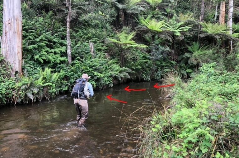 How to Trout Fish in a Stream 10 Practical Tips With Images