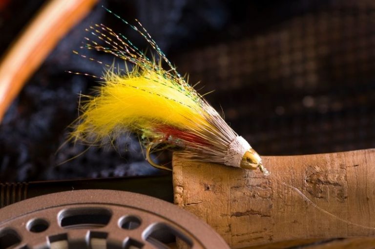 Wet Fly vs Dry Fly Key Differences & How to Decide Which?