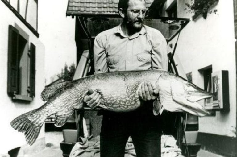 Current World Record Northern Pike The Biggest Ever Caught
