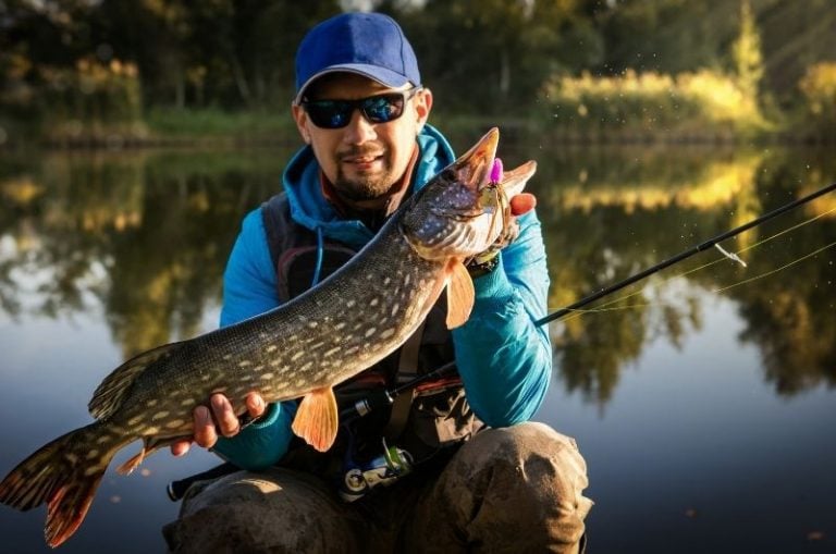 Pike Fishing Gear List Essential Items for Success