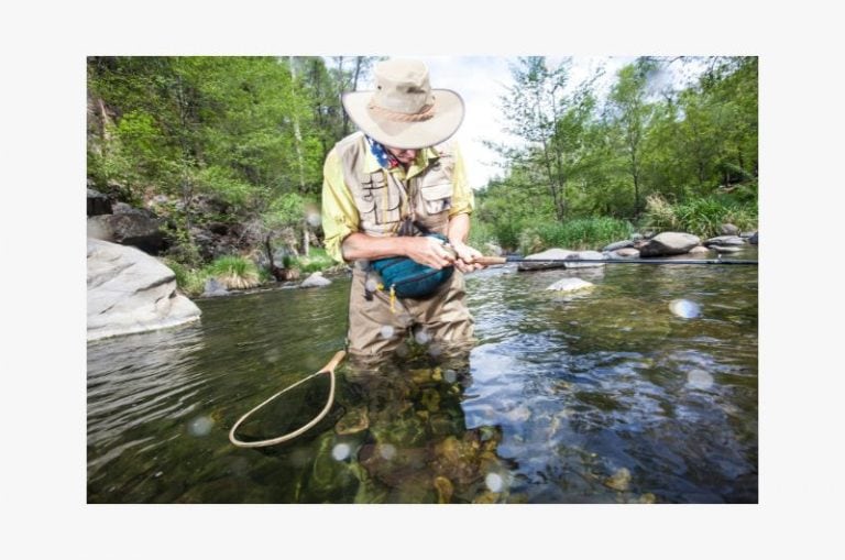 Fly Rod Weight Chart Choose the Best Rod for the Task