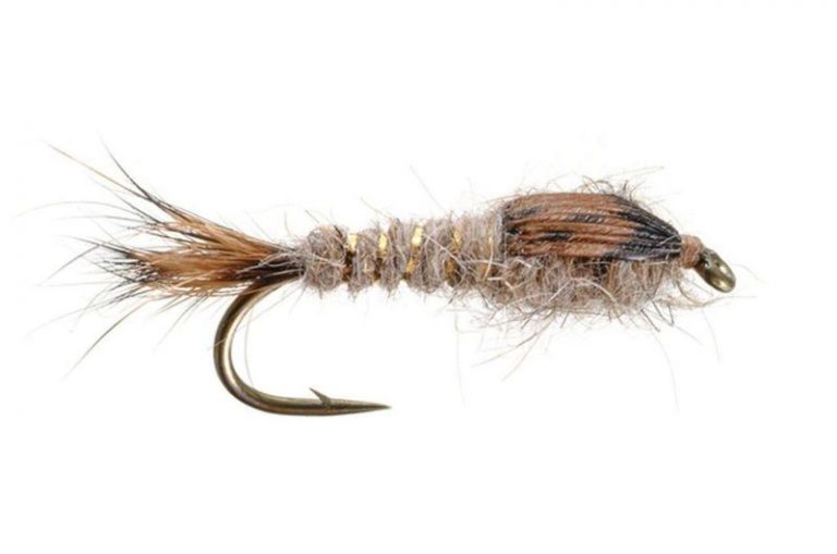 Best Flies for Brown Trout 21 Top Wet and Dry Patterns