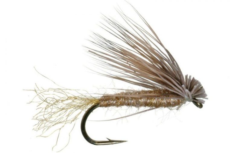 Best Flies for Brown Trout 21 Top Wet and Dry Patterns