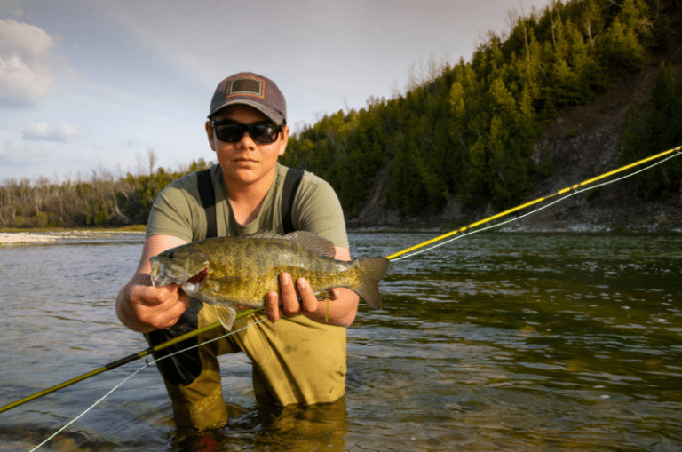 Fly fishing for Smallmouth Bass A Beginner's Guide