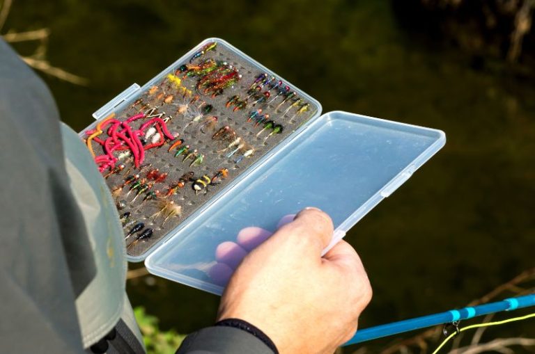 What Does Matching The Hatch Mean in Fly Fishing? Tackle Village
