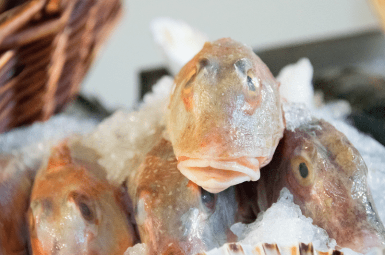 How Long Can You Keep Fish on Ice?