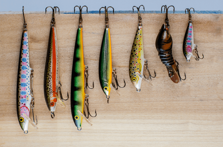 Jerkbaits vs Crankbaits Key Differences and How to Use Each Lure
