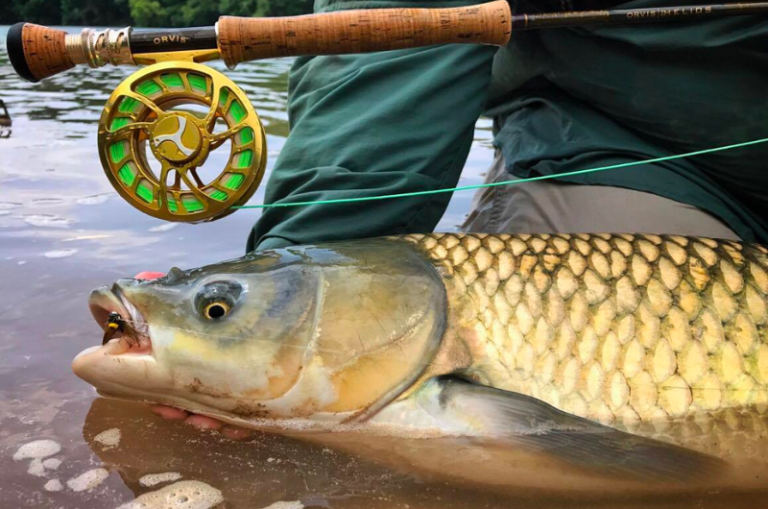 Fly Fishing For Carp Tackling ‘Urban Bonefish’ With the Long Wand