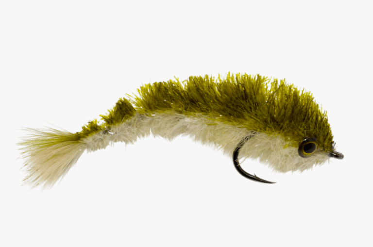 The 24 Best Flies for Largemouth Bass Poppers, Bugs & Streamers