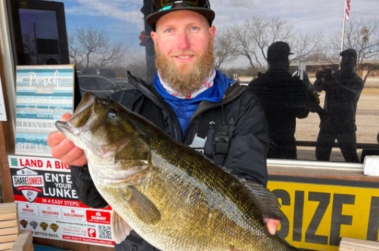 The Meanmouth Bass A Unique Spotted Smallmouth Hybrid