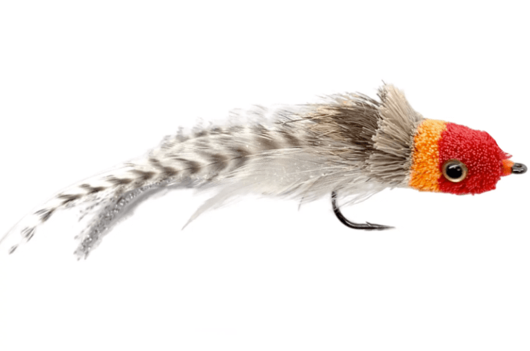 The 24 Best Flies for Largemouth Bass Poppers, Bugs & Streamers