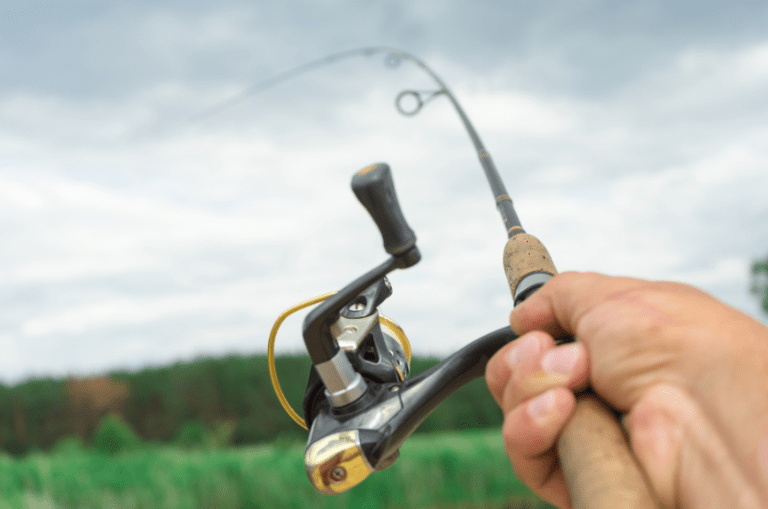 What Is Ultralight Fishing? Gear, Methods, and Tackle Explained