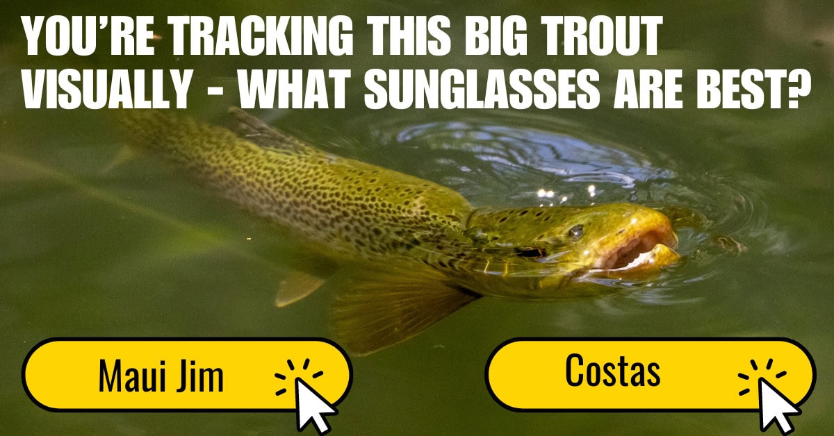 Maui Jim vs Costa Fishing Sunglasses Shakedown