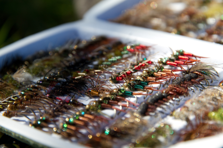 How to Nymph Fish A Complete Beginner's Guide