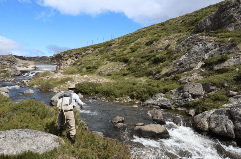 An Expert Guide to Ultralight Fly Fishing