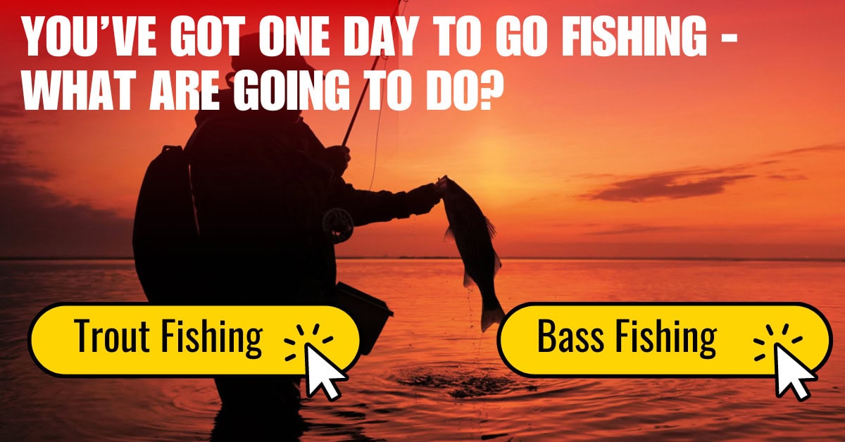 Trout Fishing vs Bass Fishing Which Is Best for You