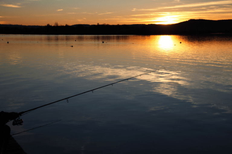 Crappie Fishing at Night Expert Tips for Success
