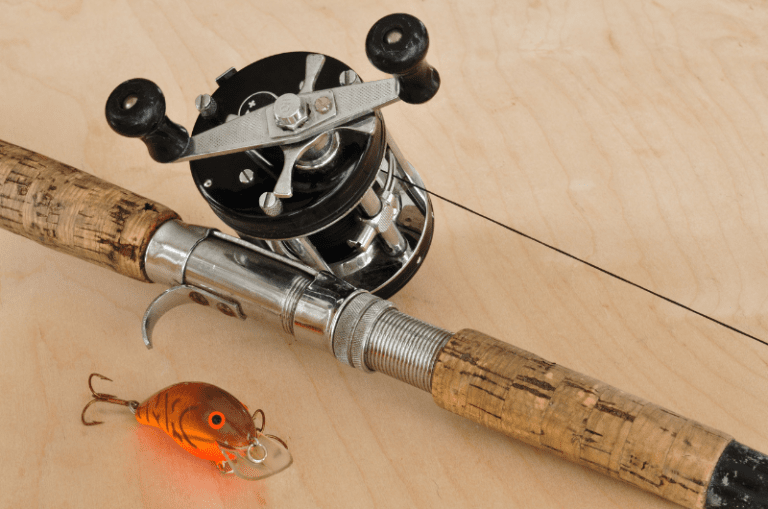 The 6 Best Flipping and Pitching Reels Expert Guide