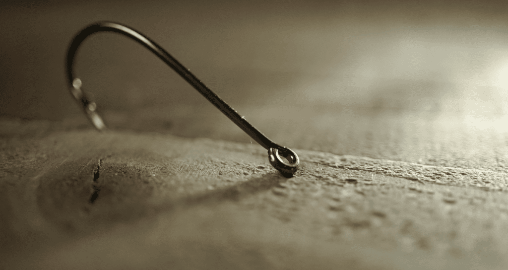 Best Bass Hooks Our Favorite Brands for All Types (2024)