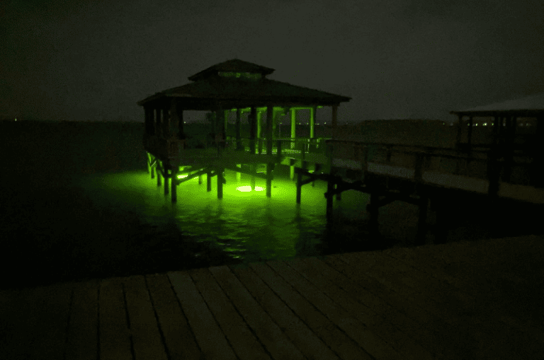 Night Fishing Light Setup for Boat and Shore 2024 Update