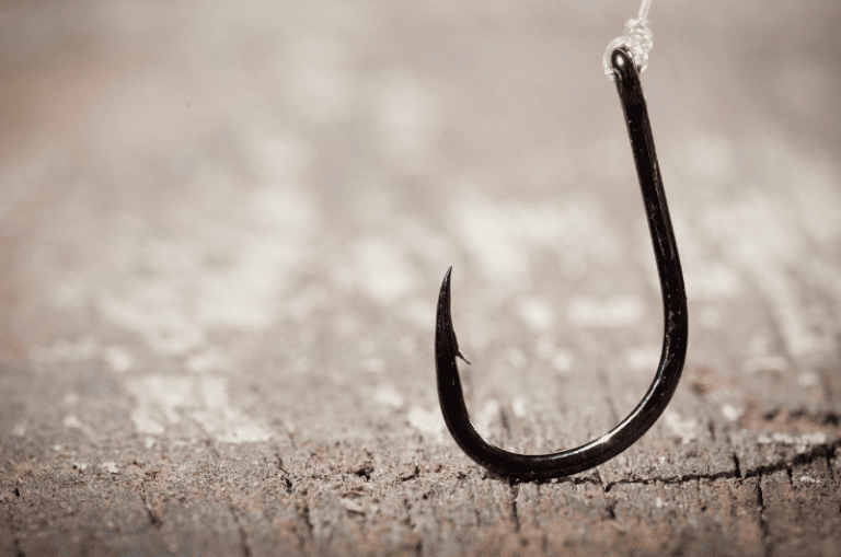 Best Bass Hooks: Our Favorite Brands for All Types (2025)