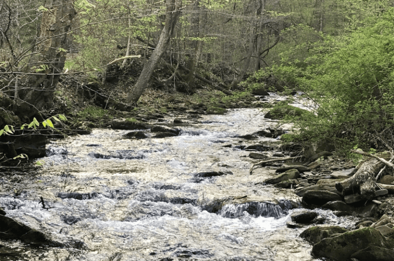 The 16 Best Trout Fishing Streams in Pennsylvania Expert Guide