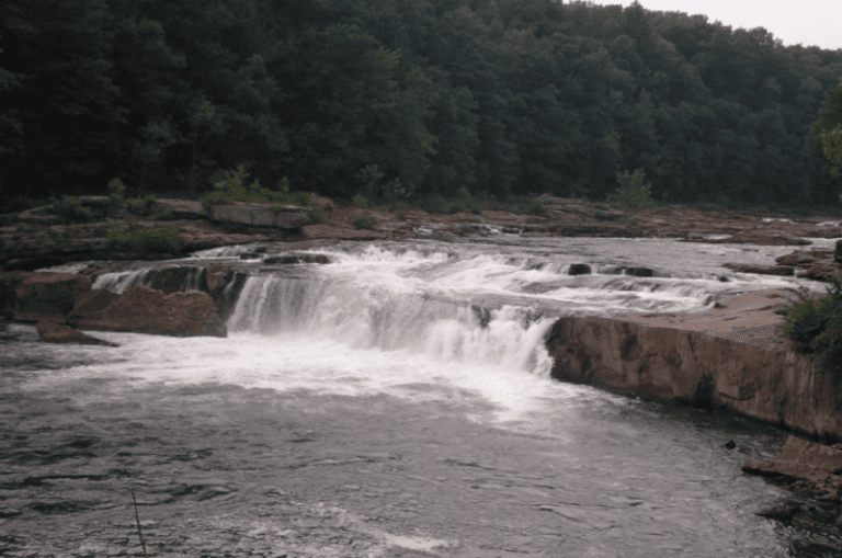 The 16 Best Trout Fishing Streams in Pennsylvania Expert Guide