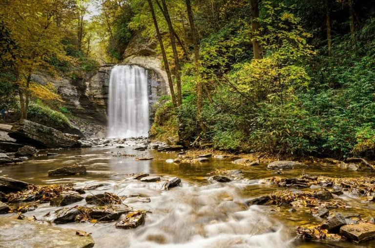 The 10 Best Trout Fishing Rivers in North Carolina Expert Guide + Map