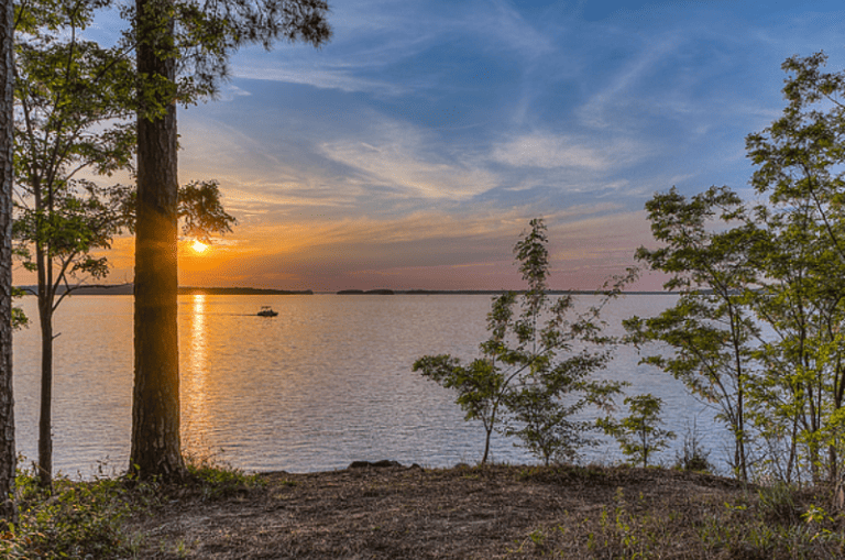 The Best Bass 10 Bass Fishing Lakes in South Carolina Expert Guide