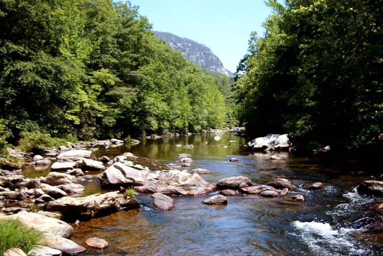 The 10 Best Trout Fishing Rivers in North Carolina: Expert Guide + Map