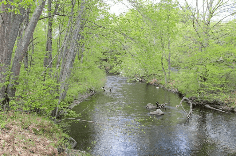 The 15 Best Trout Fishing Rivers and Lakes in Massachusetts