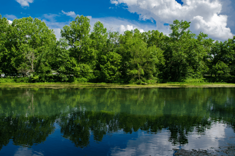 The 16 Best Smallmouth Bass Lakes & Rivers in Missouri Expert Guide