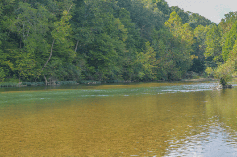 The 16 Best Trout Fishing Rivers and Lakes in Missouri Expert Guide (2024)