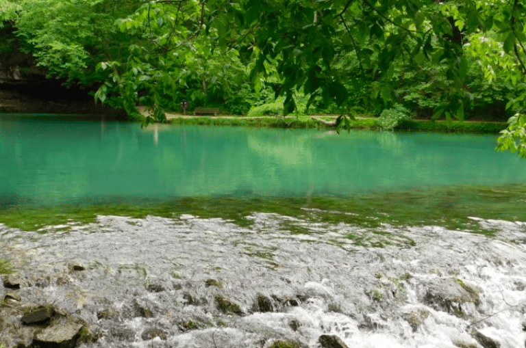 The 16 Best Trout Fishing Rivers and Lakes in Missouri Expert Guide (2024)