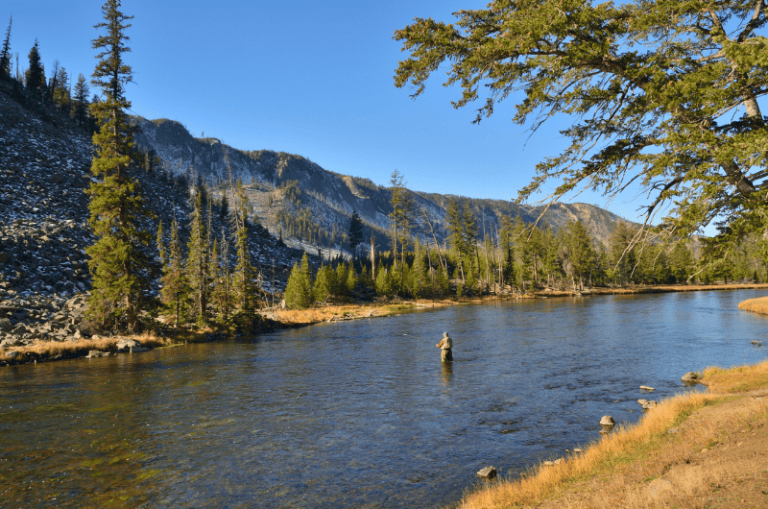 Montana Fishing License (2024) Types, Costs and How To Buy